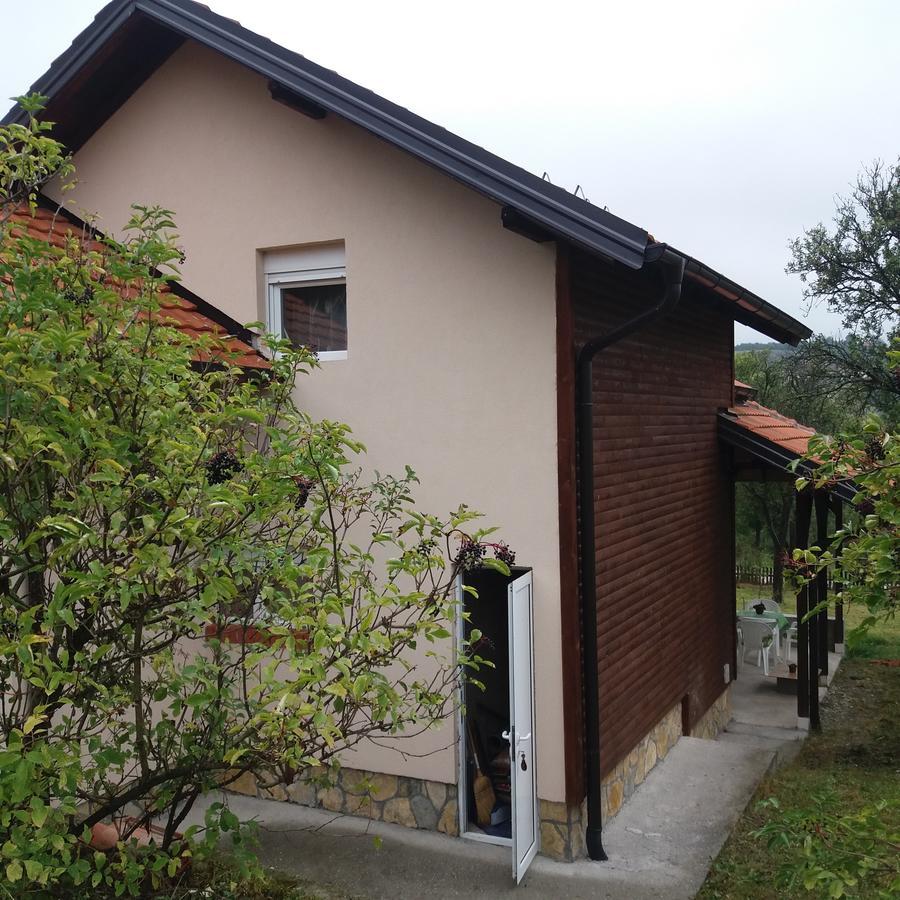 Vitas Kremna Exterior photo